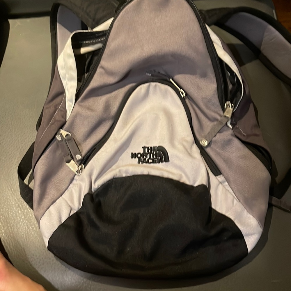 North face Pandora Mini Backpack